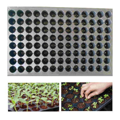 Plastic Seedling Tray With 104 Cavities For Seedling Preparation