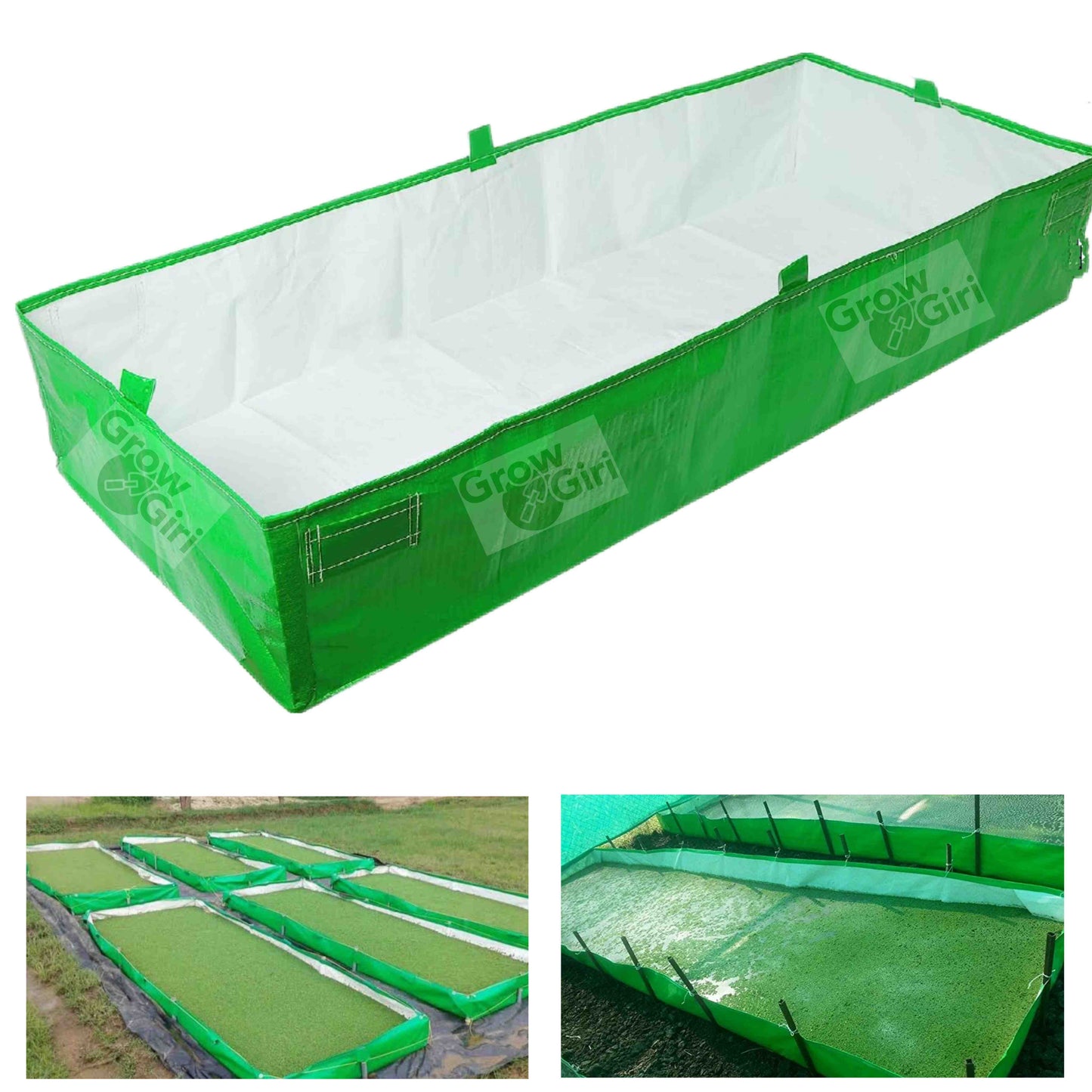 12x6x1 Feet Azolla Growing Bed, HDPE, 450 Gsm, For Azolla Cultivation