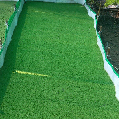 12x6x1 Feet Azolla Growing Bed, HDPE, 450 Gsm, For Azolla Cultivation