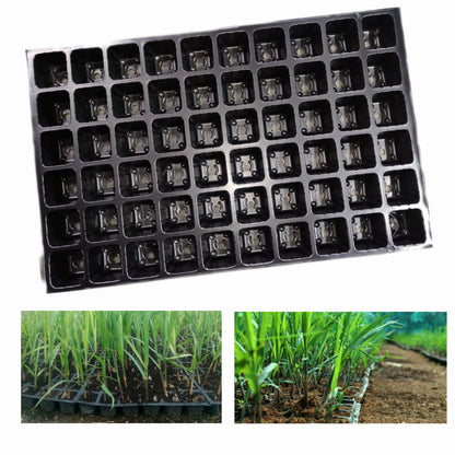 Sugarcane Special 60 Cavities Square Plastic Seedling Tray For Nursery