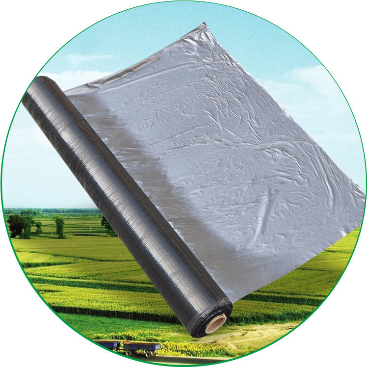 30 Micron Mulching Sheet, Size-4 Feet x 400 Meter, For Agriculture Use