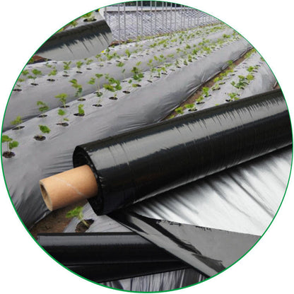 25 Micron Mulching Sheet, Size-4 Feet x 400 Meter, For Agriculture Use